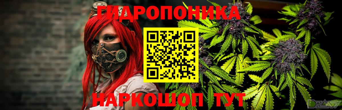 Канабис семена Северодвинск